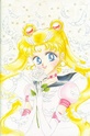 Sailor Moon Sailo250