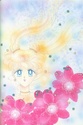 Sailor Moon Sailo255