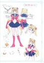 Sailor Moon Sailo287