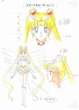 Sailor Moon Sailo362