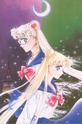 Sailor Moon Sailor42