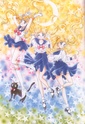 Sailor Moon Sailor43