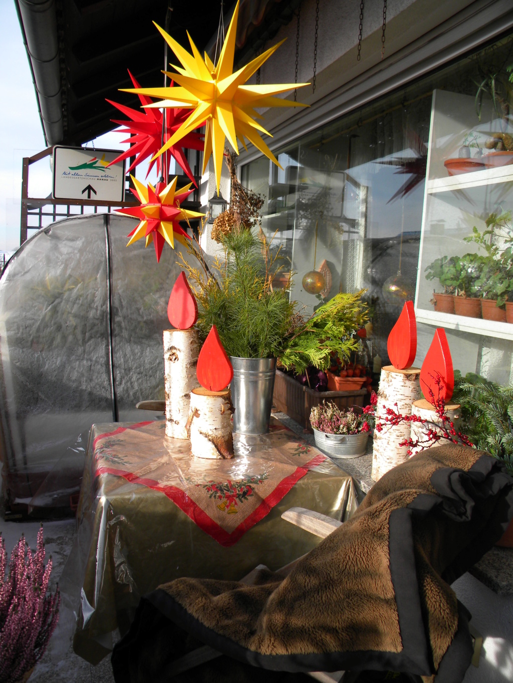 Morning Star - Mein Balkon - Seite 4 Dscn4211