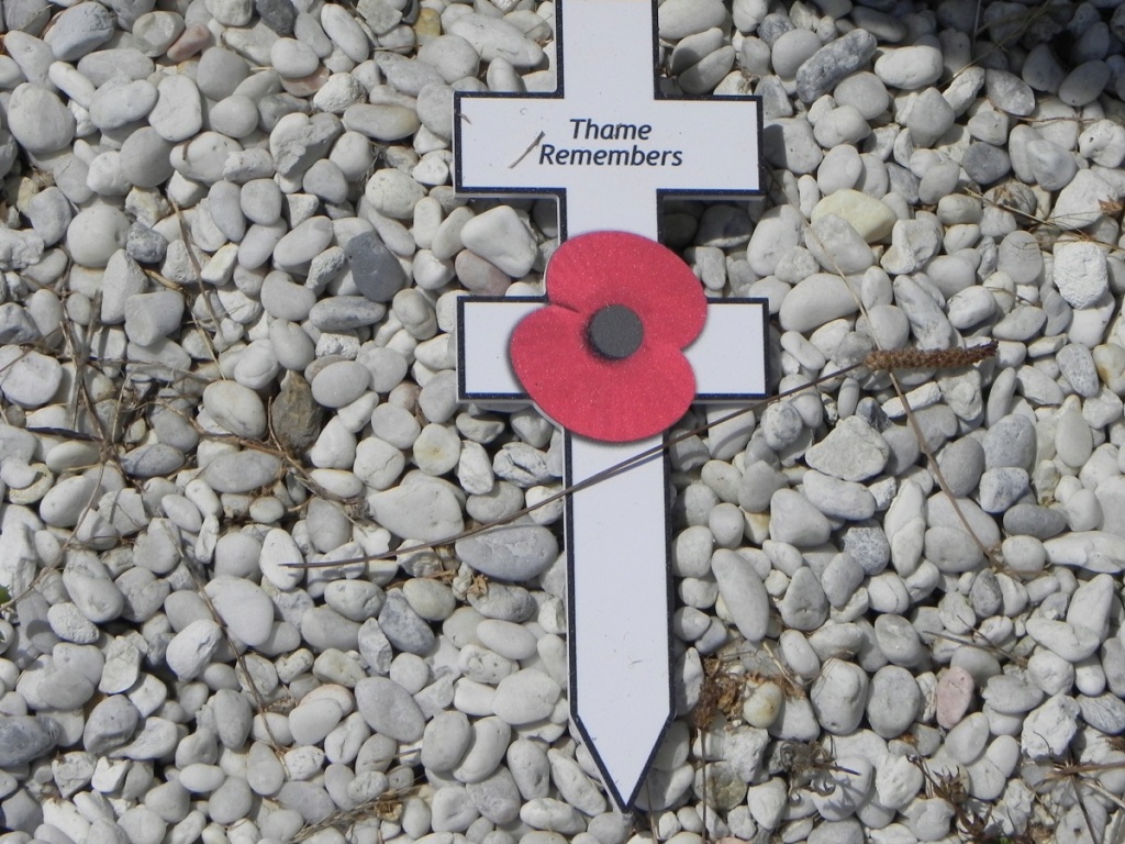 [Le service de santé] Cimetière de la Marine à Rochefort - Page 2 C21