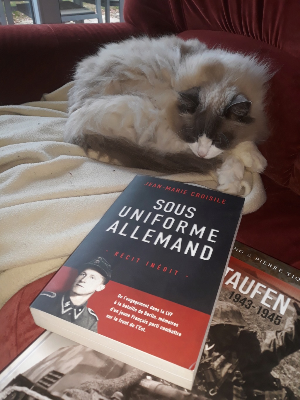 Ouvrages , de la lecture pour cet été ... 20190651