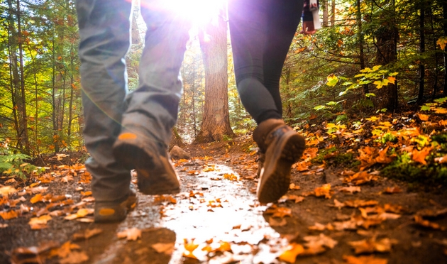 Avec qui sortez-vous en nature l'automne venu ? Fall-c10