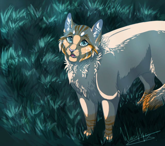 The first warrior cats .... ♥ - Pagina 5 Coyo_w12
