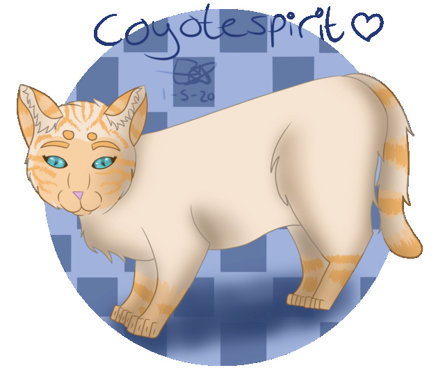 The first warrior cats .... ♥ - Pagina 5 Coyote14