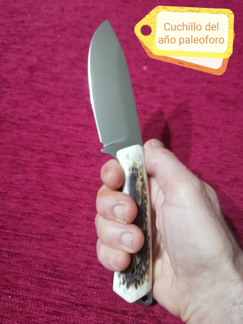 Cuchillo 9260. Mi primer cuchillo templado.  Img_2145