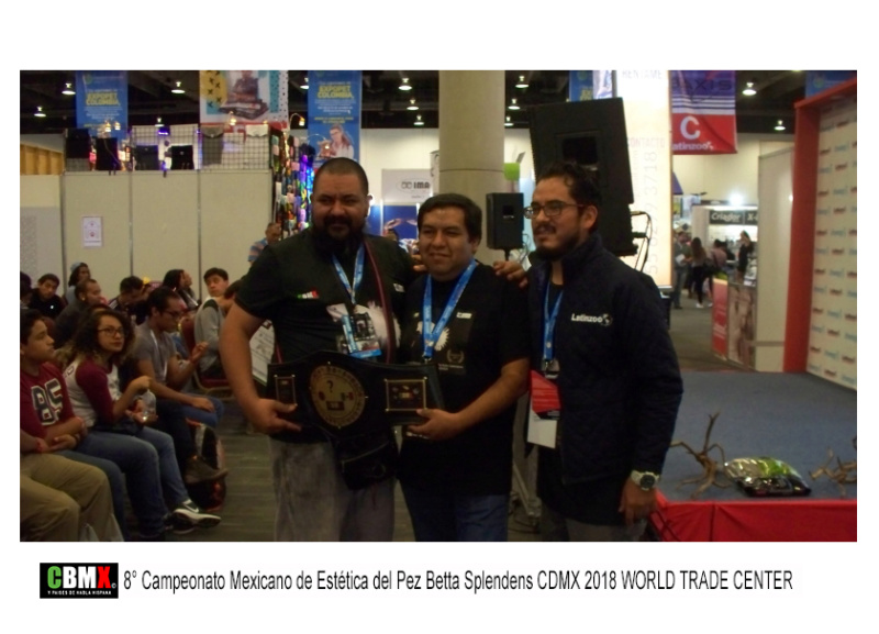 8° CAMPEONATO MEXICANO DE ESTÉTICA DEL PEZ BETTA SPLENDENS CD. DE MÉXICO 2018.  WORLD TRADE CENTER 2111