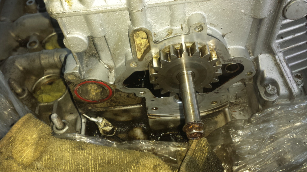 water - oil pump again, anybody seen this issue  20180720