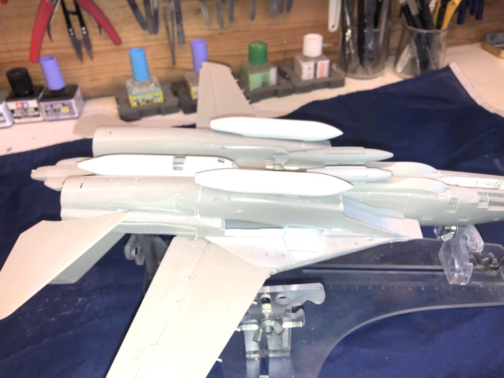 F-14 B HASEGAWA 1/48 avec quelle qoodies Img_0739