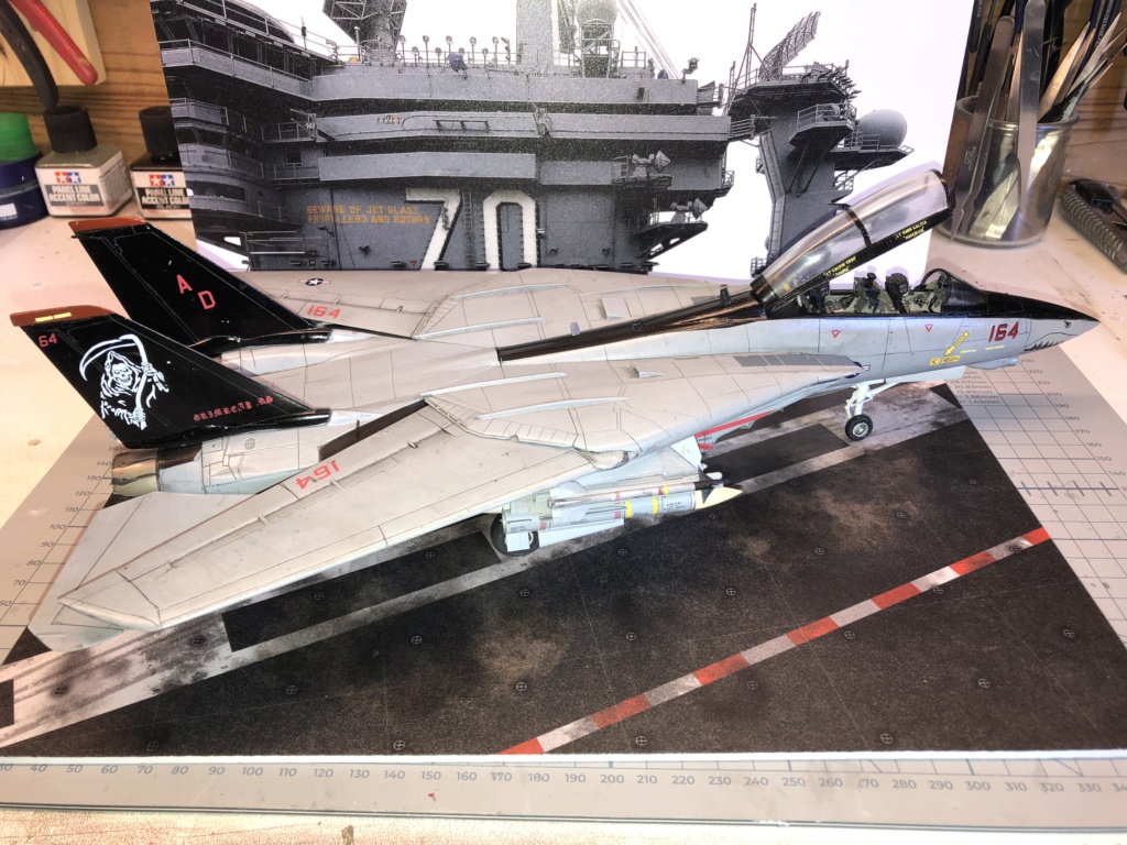 f-14 D tamiya 1/48 Img_0818