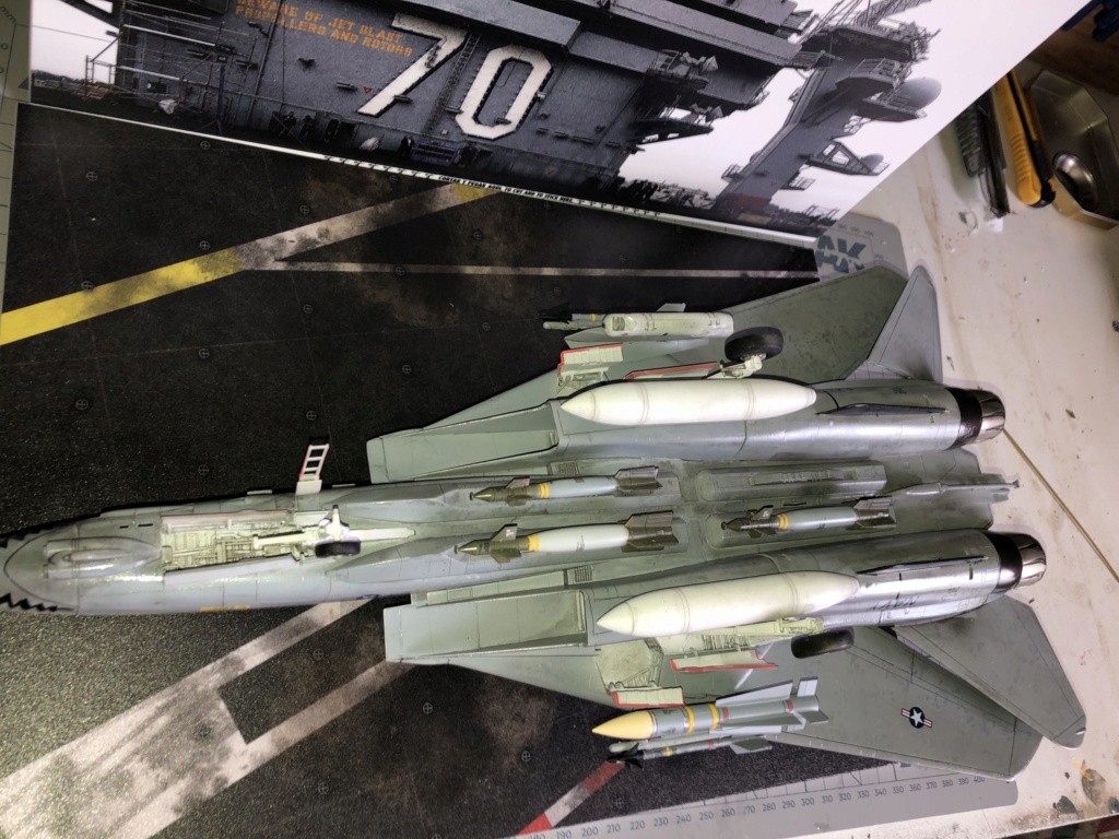 f-14 D tamiya 1/48 Img_0820