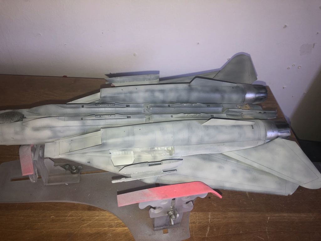 f-14 D 1/48 Img_1013