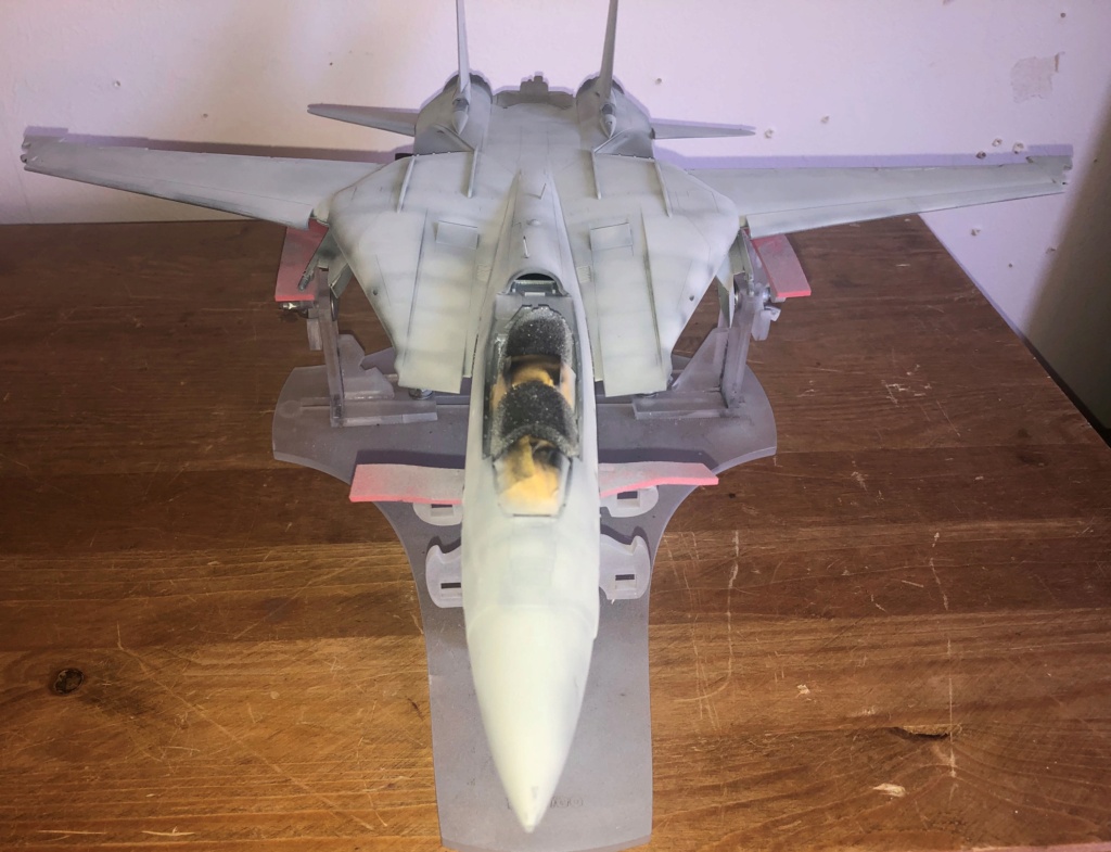 f-14 D 1/48 Img_1020