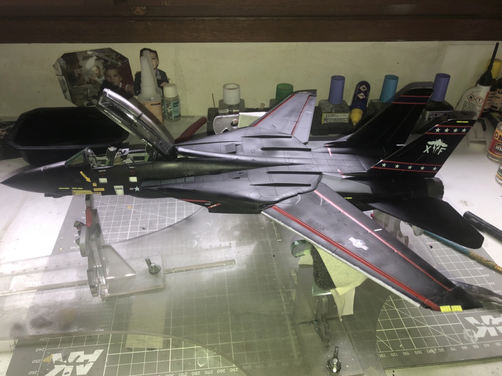 f-14 D VX-9 Vampire hasegawa 1/48  Img_1210