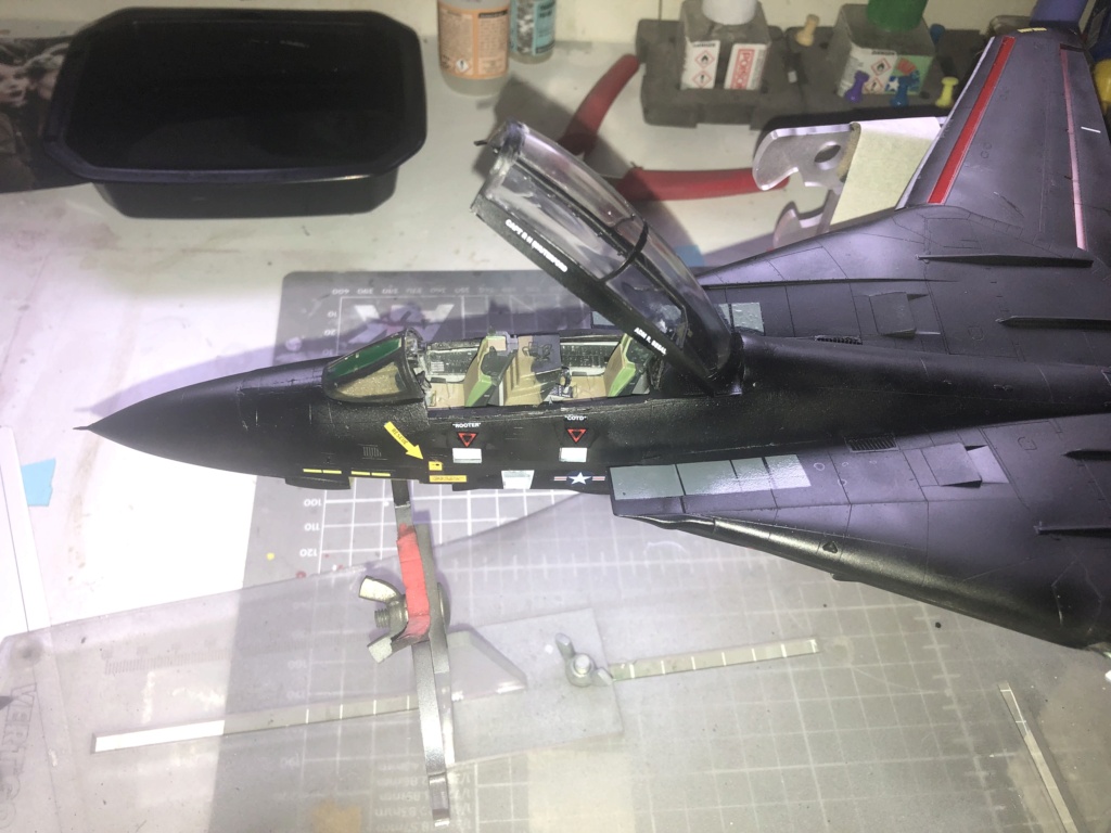 f-14 D VX-9 Vampire hasegawa 1/48  Img_1212