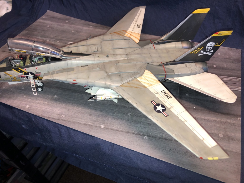 tomcat tamiya 1/48 Img_1538