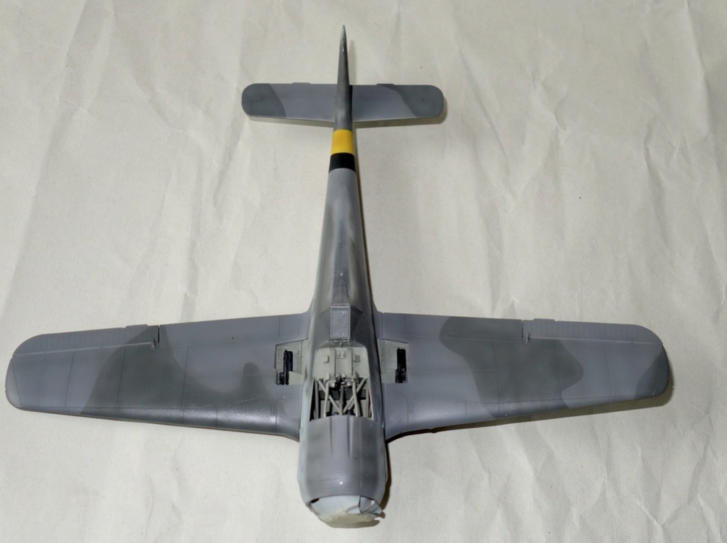 FW 190A-8 Eduard 1:48 - Page 2 A8acc811