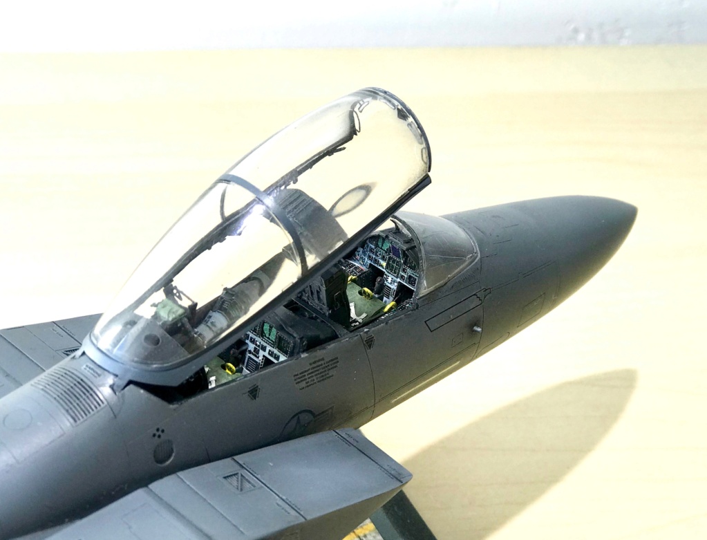 F15E Eagle [Academy] 1/48 Img_7512