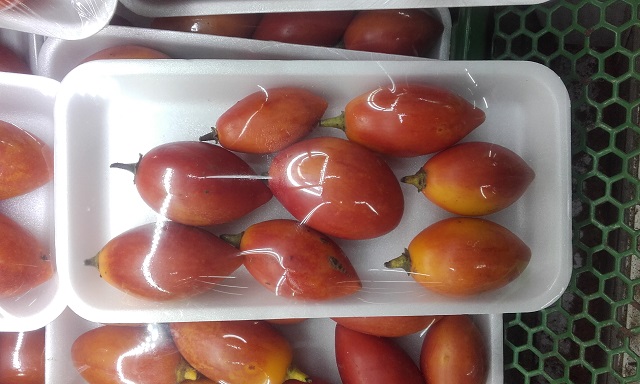Solanum betaceum (= Cyphomandra betacea) - tomate en arbre 20181130