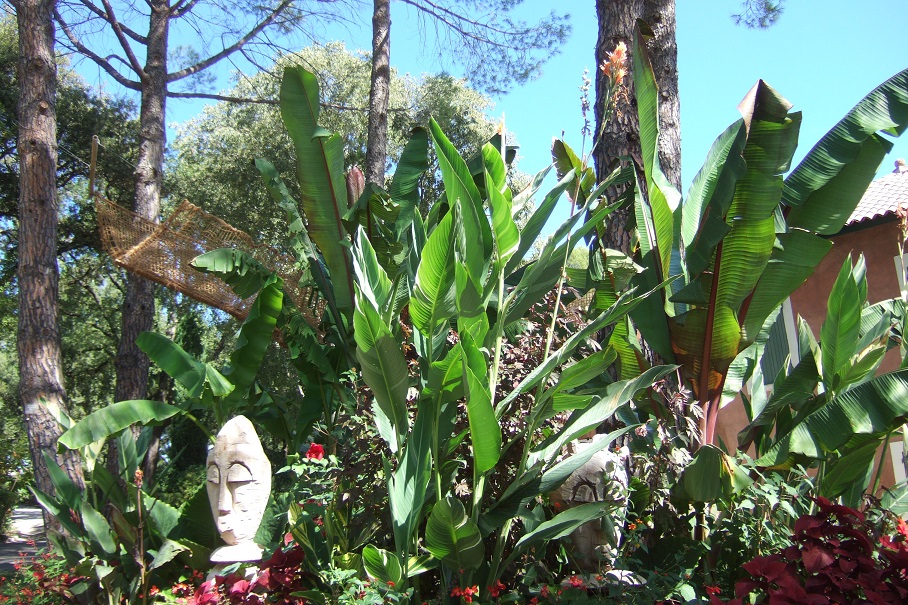 Jardins de la Fontaine  - Nîmes  (30) Dscf5737