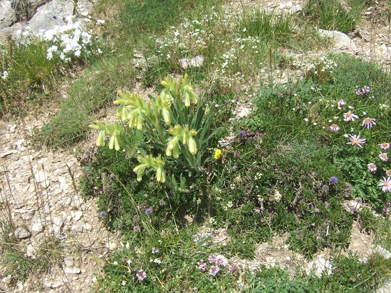 En Ubaye (04) Dscf7279