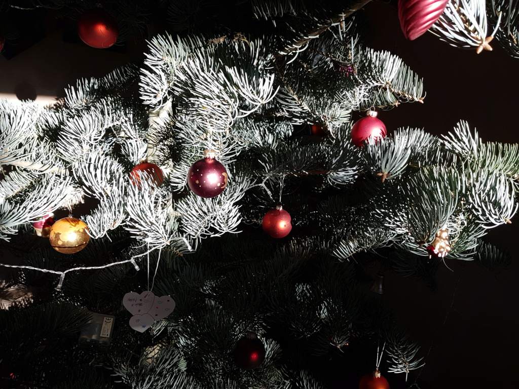 Frohe Weihnachten euch allen