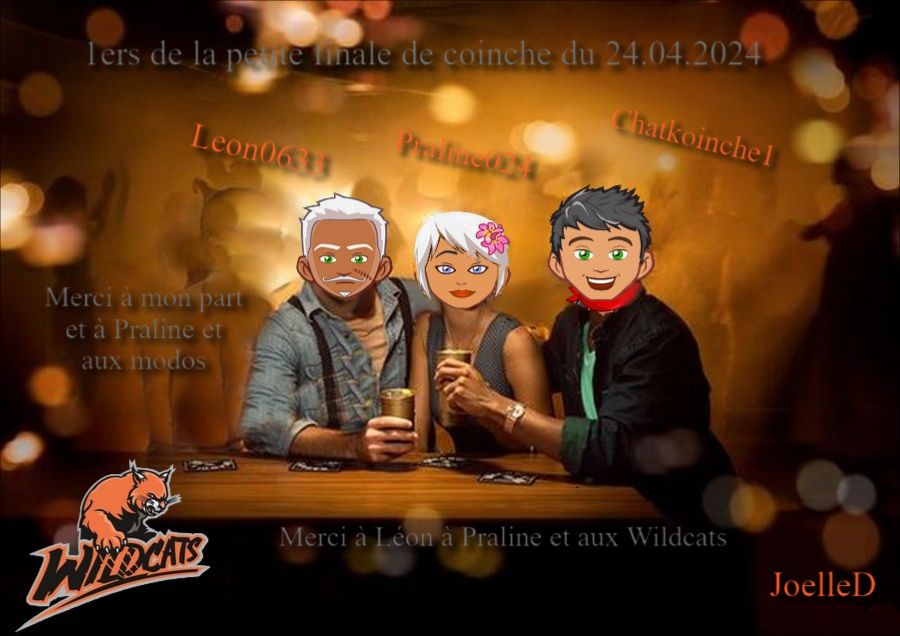 Les Wildcats - Portail 1ers_218