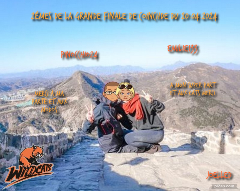 Les Wildcats - Portail 2zome219