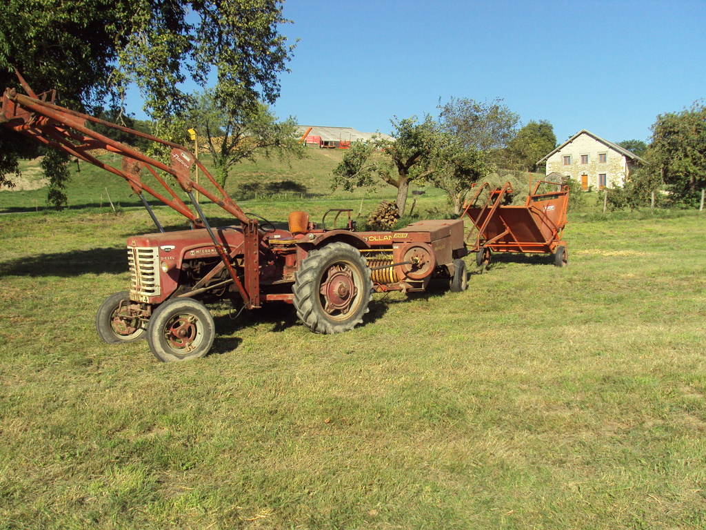 moisson et pressage en moyenne densité Dsc07111