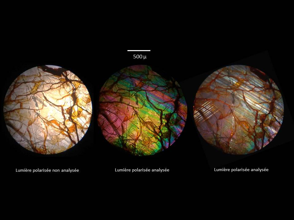 Lodranite NWA 10368 710