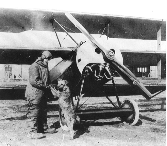Fokker D.VII (Alb) Wingnut Wings 1/32 718
