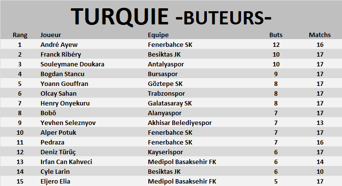 Turquie Buteur33