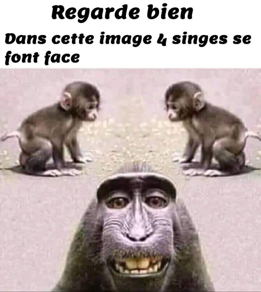 Humour Toujours - Page 4 5b681a11