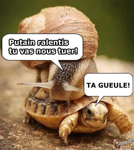Humour Toujours - Page 3 64c1b910