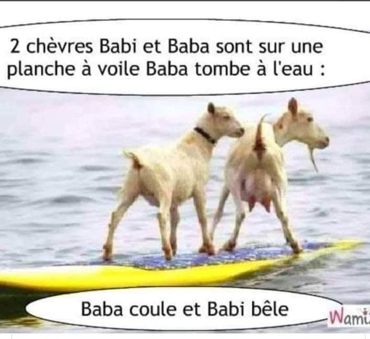 Humour Toujours - Page 5 85a70010
