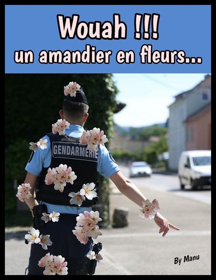 Humour Toujours - Page 6 8bd99910