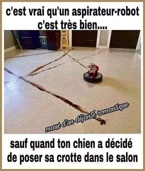 Humour Toujours - Page 8 Cd699510