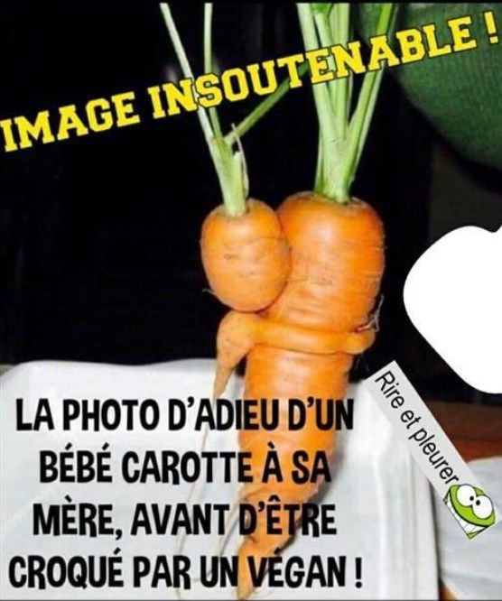 Humour Toujours - Page 7 Dc2ebb10
