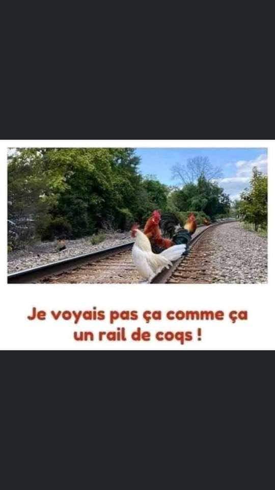 Humour Toujours - Page 8 Fb_img15