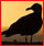 Classification des oiseaux - Familles d'Oiseaux. Gif_go10