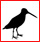 Classification des oiseaux - Familles d'Oiseaux. Gif_li10