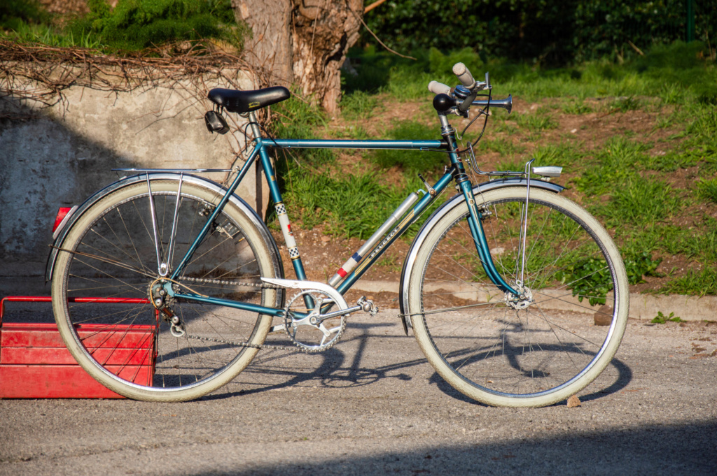 Mon ex (vélotaf) : Peugeot PL 50 _dsc2010