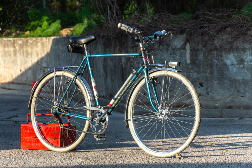 Mon ex (vélotaf) : Peugeot PL 50 _dsc2011