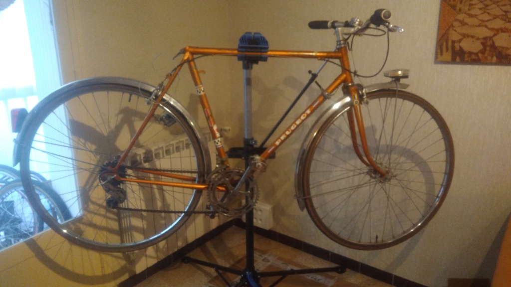 Peugeot 1975 P_202021