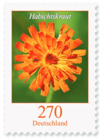 Blumengruß aus Deutschland - Dauerserie Blumen - Seite 2 270_ha10