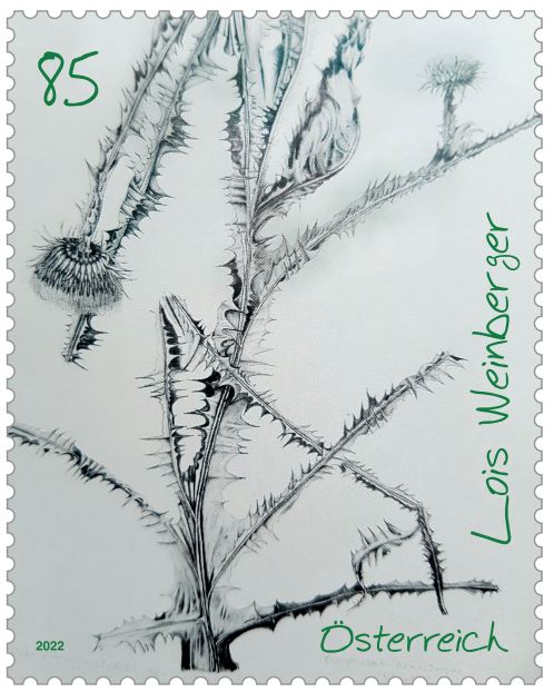 Österr. NEU: Lois Weinberger - Onopordon acanthium (Eselsdistel), 1995 3_wein10