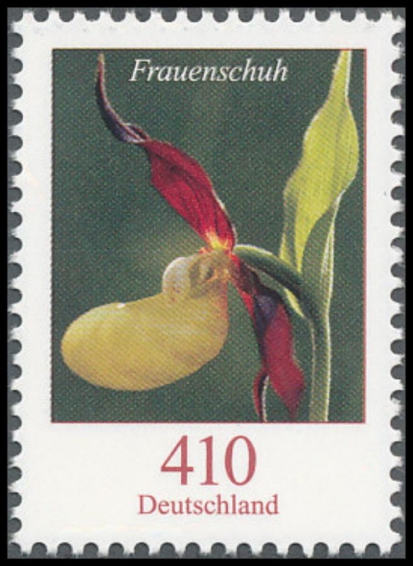 Orchideen I641_310